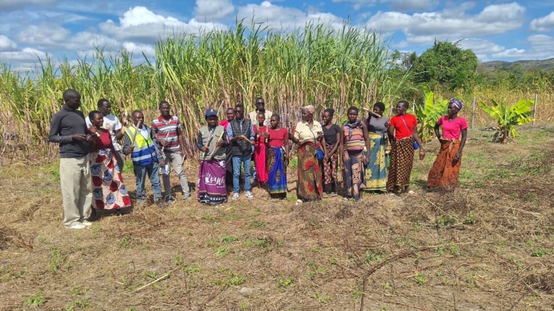 Community members gathered beside sugarcane
