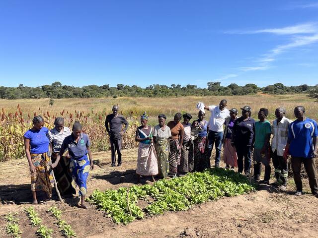 A community vegetable garden with farmers and facilitators