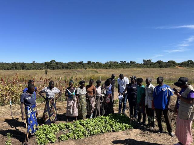 Farmers and facilitators gathered at a vegetable demonstration plot