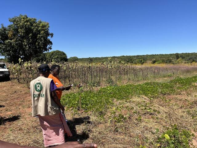 A field visit with farmers and partners