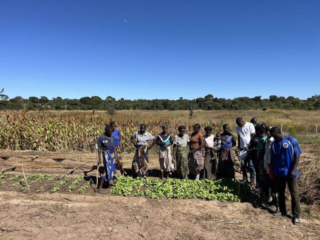 Farmers at a vegetable plot with sorghum behind