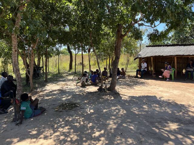 A village meeting held in the shade of the trees